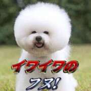 ヒメ日記 2025/05/31 18:01 投稿 みつは 五反田人妻ヒットパレード（シンデレラグループ）