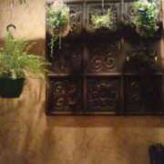 ヒメ日記 2025/03/28 00:34 投稿 児玉晴美(こだまはるみ) 五十路マダムエクスプレス厚木店(カサブランカグループ)