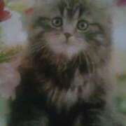 ヒメ日記 2025/04/01 17:56 投稿 児玉晴美(こだまはるみ) 五十路マダムエクスプレス厚木店(カサブランカグループ)