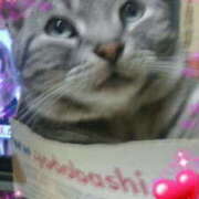 ヒメ日記 2025/04/10 17:56 投稿 児玉晴美(こだまはるみ) 五十路マダムエクスプレス厚木店(カサブランカグループ)