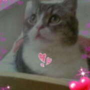 ヒメ日記 2025/04/15 17:50 投稿 児玉晴美(こだまはるみ) 五十路マダムエクスプレス厚木店(カサブランカグループ)