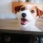 児玉晴美(こだまはるみ) 児玉です♪♪ 五十路マダムエクスプレス厚木店(カサブランカグループ)