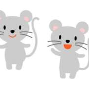 ヒメ日記 2025/06/18 11:51 投稿 植村ちはる 千葉快楽Ｍ性感倶楽部～前立腺マッサージ専門～