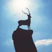 ヒメ日記 2025/12/08 20:12 投稿 植村ちはる 千葉快楽Ｍ性感倶楽部～前立腺マッサージ専門～