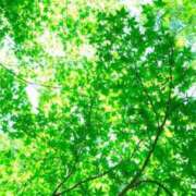 ヒメ日記 2025/08/07 14:50 投稿 植村ちはる 癒したくて千葉店～日本人アロマ性感～