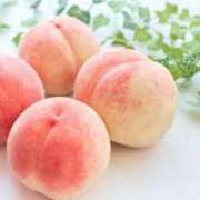 ヒメ日記 2025/08/23 11:53 投稿 植村ちはる 癒したくて千葉店～日本人アロマ性感～