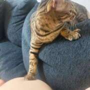 ヒメ日記 2025/04/14 05:12 投稿 のぞみ 性の極み 技の伝道師　五反田店