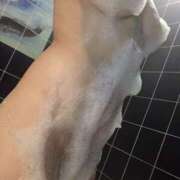 ヒメ日記 2025/04/29 15:23 投稿 大西　めい YUDEN〜油殿〜谷九・日本橋店