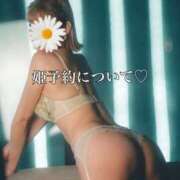 ヒメ日記 2025/04/26 11:04 投稿 えれな SOPHIA（ソフィア）