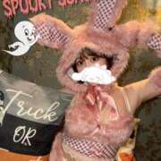 ヒメ日記 2025/10/26 23:13 投稿 えれな SOPHIA（ソフィア）