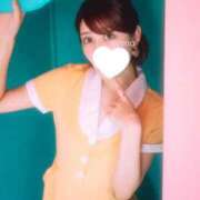 ヒメ日記 2025/10/29 09:43 投稿 えれな SOPHIA（ソフィア）