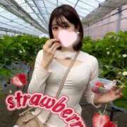 えれな 心の癒し SOPHIA（ソフィア）