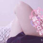 ヒメ日記 2025/04/02 13:03 投稿 染井詩帆(そめいしほ) かぐや 姫路店