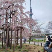 ヒメ日記 2025/03/31 16:32 投稿 ひろこ 華美人