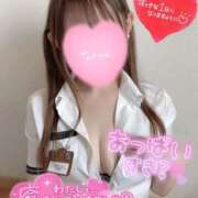 ヒメ日記 2025/03/30 09:27 投稿 楓★(二輪車可） プリマドンナ