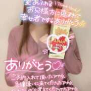 ヒメ日記 2025/04/26 08:17 投稿 楓★(二輪車可） プリマドンナ