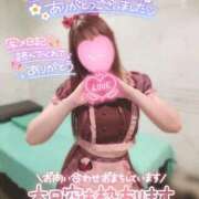 ヒメ日記 2026/02/11 08:46 投稿 楓★(二輪車可） プリマドンナ