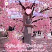 ヒメ日記 2026/04/04 19:57 投稿 楓★(二輪車可） プリマドンナ