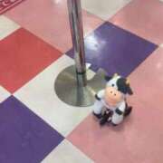 ヒメ日記 2025/11/11 00:12 投稿 みさ メンヘラ専門デリヘル ゼロワン 横浜本店