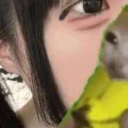 ヒメ日記 2025/12/20 15:22 投稿 みさ メンヘラ専門デリヘル ゼロワン 横浜本店