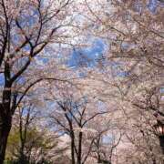 ヒメ日記 2025/03/31 22:18 投稿 美桜奈(みおな) 人妻出逢い会 百合の園 山の手本店