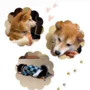 ヒメ日記 2025/05/02 09:47 投稿 美桜奈(みおな) 人妻出逢い会 百合の園 山の手本店