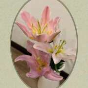 ヒメ日記 2025/06/01 14:07 投稿 美桜奈(みおな) 人妻出逢い会 百合の園 山の手本店