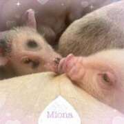 ヒメ日記 2025/06/06 10:22 投稿 美桜奈(みおな) 人妻出逢い会 百合の園 山の手本店