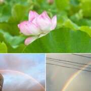 ヒメ日記 2025/06/11 10:12 投稿 美桜奈(みおな) 人妻出逢い会 百合の園 山の手本店