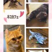 ヒメ日記 2025/06/20 00:57 投稿 美桜奈(みおな) 人妻出逢い会 百合の園 山の手本店