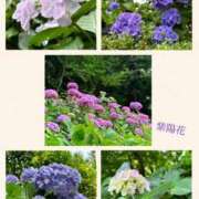 ヒメ日記 2025/06/26 21:07 投稿 美桜奈(みおな) 人妻出逢い会 百合の園 山の手本店