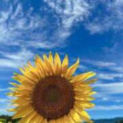 ヒメ日記 2025/07/18 10:37 投稿 美桜奈(みおな) 人妻出逢い会 百合の園 山の手本店