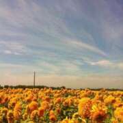 美桜奈(みおな) 明日から(๑˃̵ᴗ˂̵)و ! 人妻出逢い会 百合の園 山の手本店