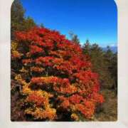 美桜奈(みおな) 紅葉🍁 人妻出逢い会 百合の園 山の手本店