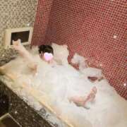 ヒメ日記 2025/07/10 18:42 投稿 よぞら E+アイドルスクール品川店