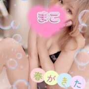 ヒメ日記 2025/04/04 20:00 投稿 まこ もんぜつちじょ本店