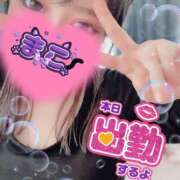 ヒメ日記 2025/04/16 10:09 投稿 まこ もんぜつちじょ本店