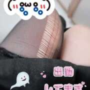 ヒメ日記 2025/04/26 20:29 投稿 まこ もんぜつちじょ本店