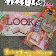 ヒメ日記 2025/04/07 06:00 投稿 みい 西東京市小平ちゃんこ