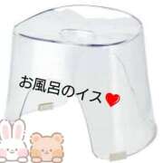 ヒメ日記 2025/04/16 22:33 投稿 みい 西東京市小平ちゃんこ