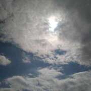 ヒメ日記 2025/04/20 17:20 投稿 みい 西東京市小平ちゃんこ