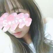 ヒメ日記 2025/04/20 20:02 投稿 みい 西東京市小平ちゃんこ