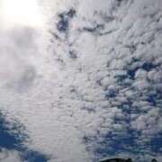 ヒメ日記 2025/05/04 23:02 投稿 みい 西東京市小平ちゃんこ