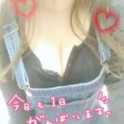 ヒメ日記 2025/05/28 07:54 投稿 みい 西東京市小平ちゃんこ