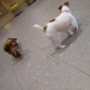 ヒメ日記 2025/06/20 12:16 投稿 みい 西東京市小平ちゃんこ