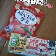 ヒメ日記 2025/06/29 05:35 投稿 みい 西東京市小平ちゃんこ