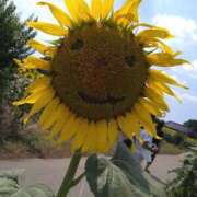 ヒメ日記 2025/08/29 14:14 投稿 みい 西東京市小平ちゃんこ