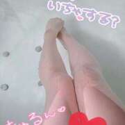 ヒメ日記 2025/09/28 14:34 投稿 みい 西東京市小平ちゃんこ