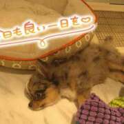 ヒメ日記 2025/10/09 16:48 投稿 みい 西東京市小平ちゃんこ