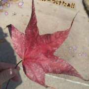 ヒメ日記 2025/10/16 12:27 投稿 みい 西東京市小平ちゃんこ